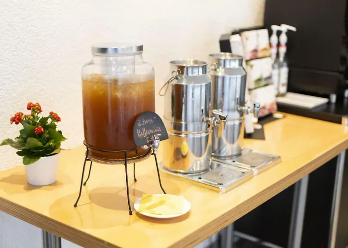 Wilhelm-kempf-haus فندق 2*