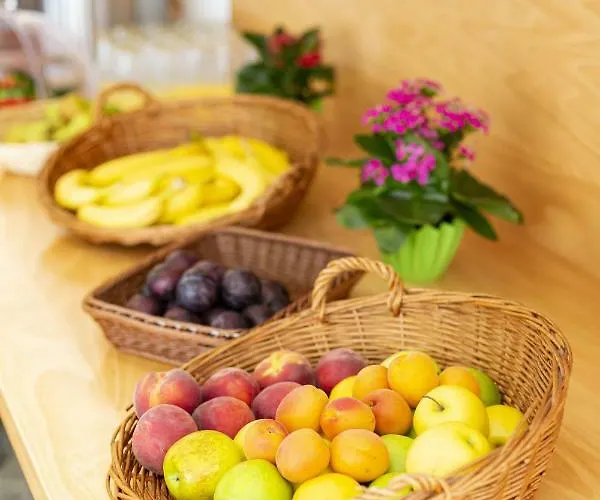 Wilhelm-kempf-haus فندق فيسبادن