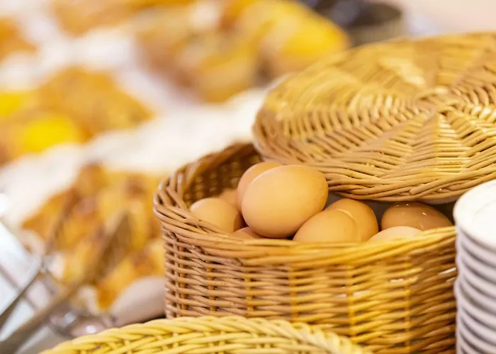 Wilhelm-kempf-haus فندق